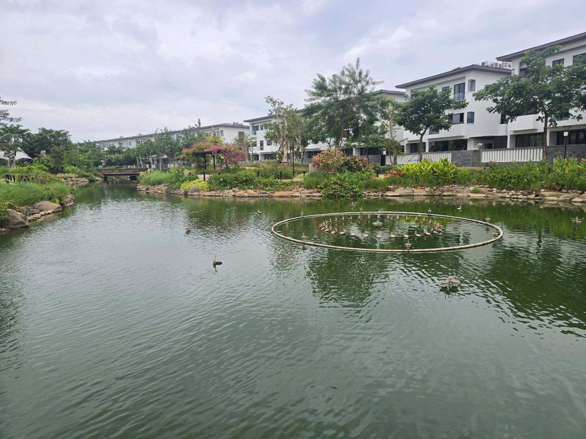 Zozo House - Homestay Bai Sau Vung Tau Esterno foto